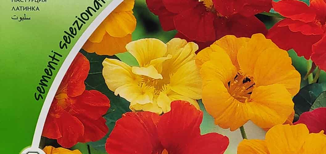 Καπουτσίνος χαμηλός διπλός mix