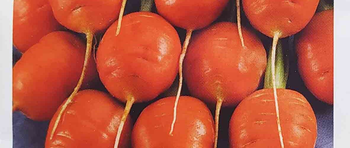 Καρότο baby Rondo στρογγυλό παραδοσιακό