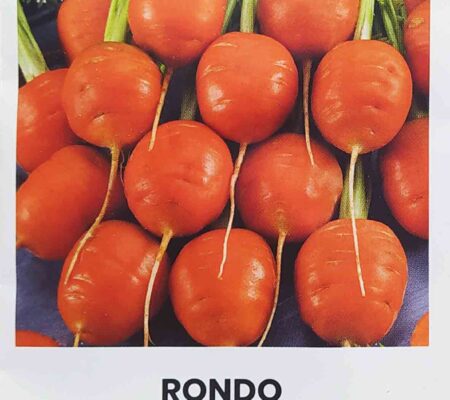 Καρότο baby Rondo στρογγυλό παραδοσιακό