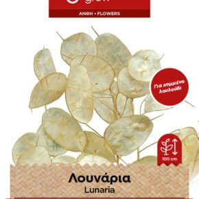 Λουνάρια - Γυαλάκι
