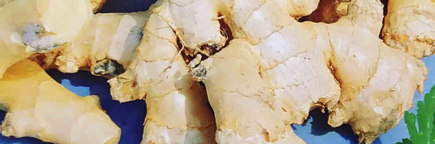 Βολβός πιπερόριζα Ginger