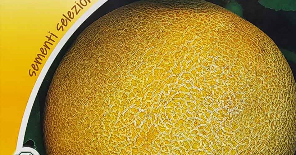 Πεπόνι στρογγυλό Galia