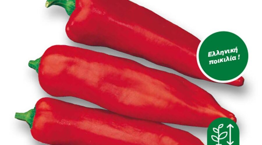 Πιπεριά κόκκινη Φλωρίνης (hobby bag 0,5 γρ)