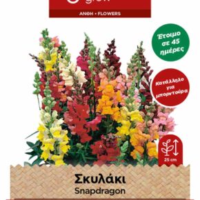 Σκυλάκι κοντό mix (hobby bag 0,3 γρ)