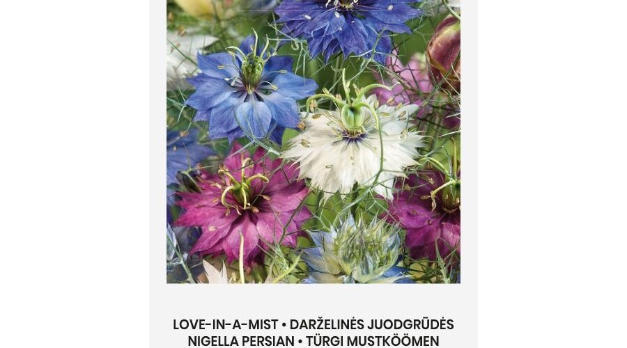 Αγάπη στην ομίχλη Nigella mix (hobby bag 1 γρ)