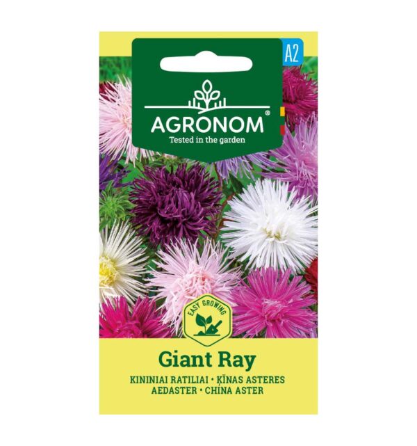Αστράκι ψηλό Giant Ray mix (hobby bag 0,4 γρ)