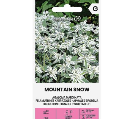 Αφροθάλασσα Mountain snow (hobby bag 2 γρ)