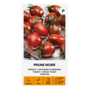 Τομάτα cherry βελανίδι μαύρο Prune noire παραδοσιακή (hobby bag 5 σπόρων)