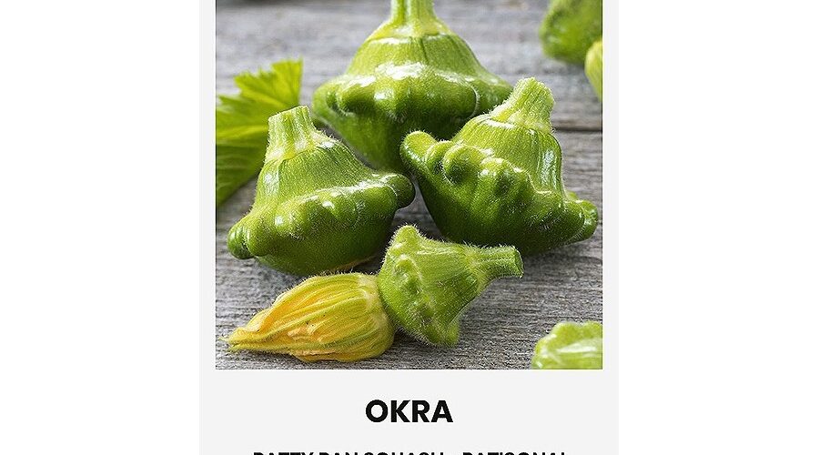 Κολοκυθάκι πάτισον Okra (hobby bag 1,5 γρ)