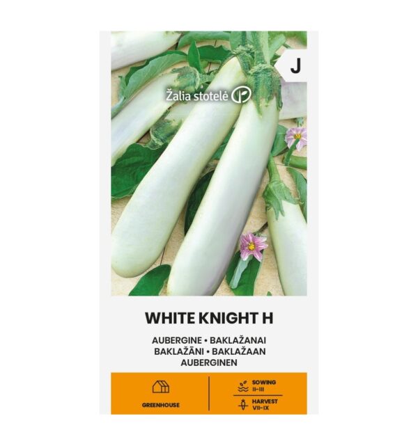 Μελιτζάνα μακριά λευκή White knight υβρίδιο (hobby bag 10 σπόρων)