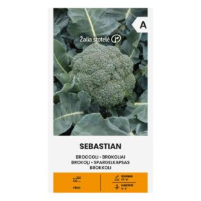Μπρόκολο πρώιμο Sebastian παραδοσιακό (hobby bag 0,2 γρ)