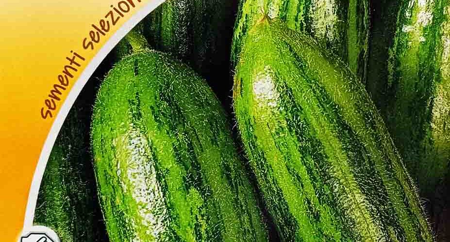 Ατζούρι ξυλάγγουρο Leccese παραδοσιακό (hobby bag 1,5 γρ)