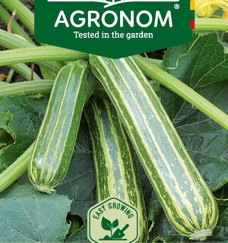 Κολοκύθι ριγωτό Coucourzelle παραδοσιακό (hobby bag 2 γρ)