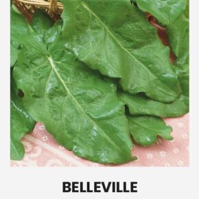 Λάπατο Belleville παραδοσιακό (hobby bag 3 γρ)