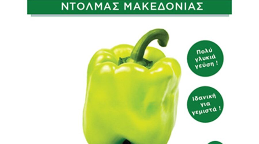 Πιπεριά φλάσκα ντολμάς Μακεδονίας Π-14