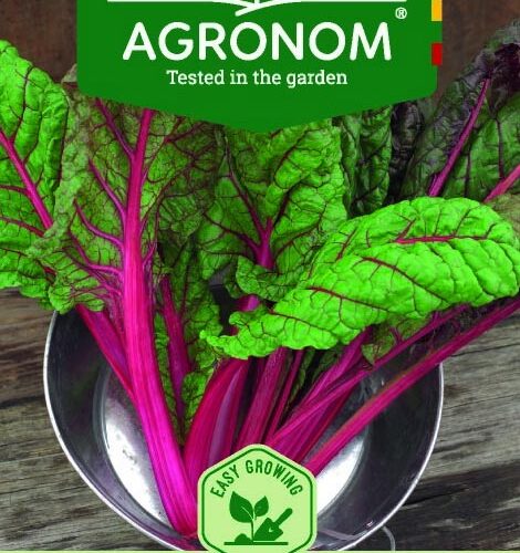 Σέσκουλο κόκκινο Red Rhubarb παραδοσιακό (hobby bag 2 γρ)