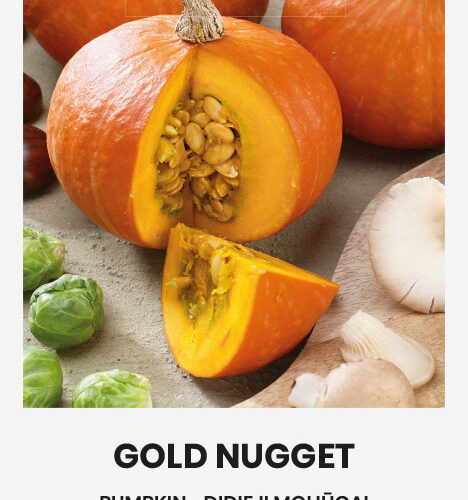 Κολοκύθα που δεν απλώνει Gold nugget παραδοσιακή (hobby bag 1 γρ)