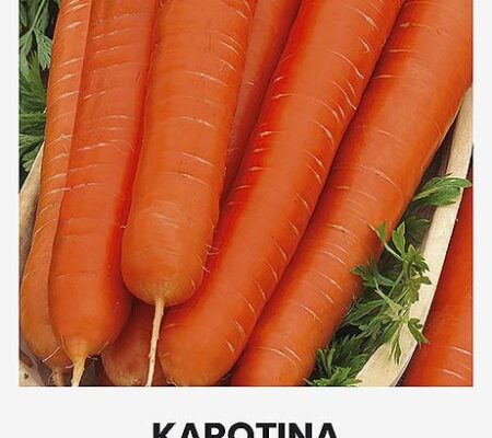 Καρότο Karotina παραδοσιακό (hobby bag 5 γρ)