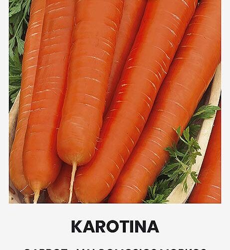 Καρότο Karotina παραδοσιακό (hobby bag 5 γρ)