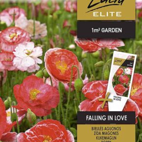 Παπαρούνα Fallin in love (hobby bag 0,3 γρ)
