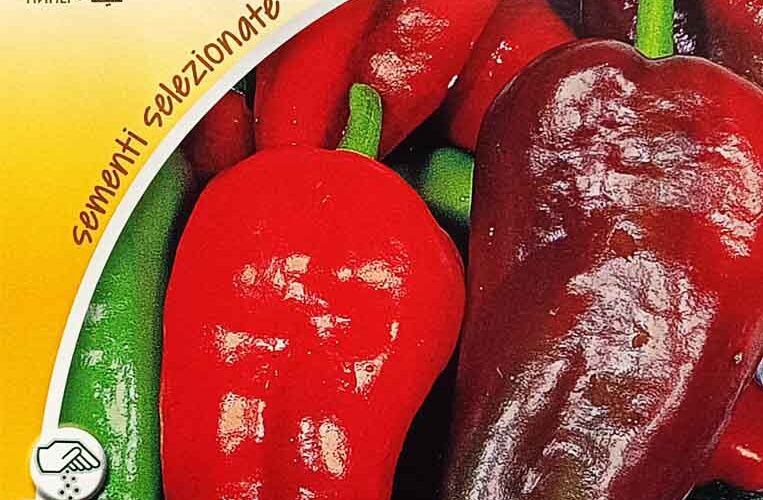 Πιπεριά μακριά γλυκιά Dulce Italiano παραδοσιακή