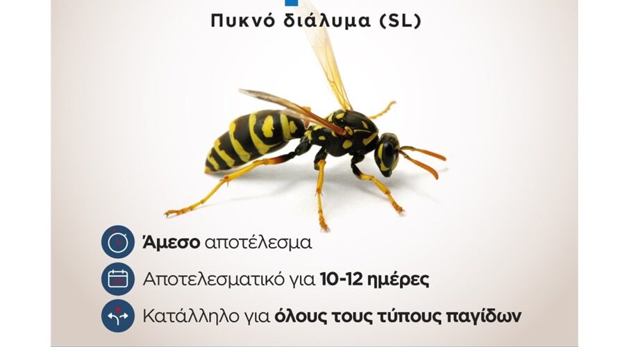 Προσελκυστικό για σφήκες Vesparex 50 ml