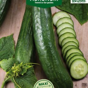 Αγγούρι μακρύ Telegraph improved υβρίδιο (hobby bag 0,3 γρ)