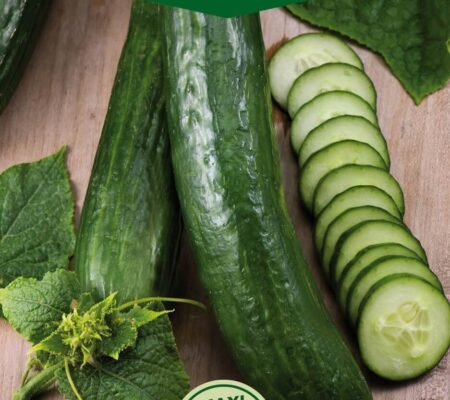 Αγγούρι μακρύ Telegraph improved υβρίδιο (hobby bag 0,3 γρ) Αγγούρι μακρύ Telegraph improved υβρίδιο (hobby bag 0,3 γρ)