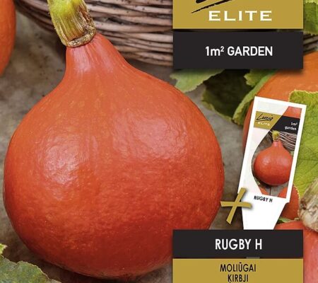 Κολοκύθα αναρριχώμενη Rugby υβρίδιο (hobby bag 3 γρ) Κολοκύθα αναρριχώμενη Rugby υβρίδιο (hobby bag 3 γρ)