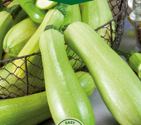 Κολοκύθι ανοιχτοπράσινο Genovese παραδοσιακό (hobby bag 1,5 γρ) Κολοκύθι ανοιχτοπράσινο Genovese παραδοσιακό (hobby bag 1,5 γρ)