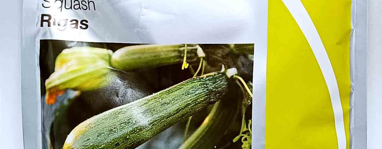 Κολοκύθι υβρίδιο πράσινο Rigas F1 (φάκελος 1000 σπόρων)