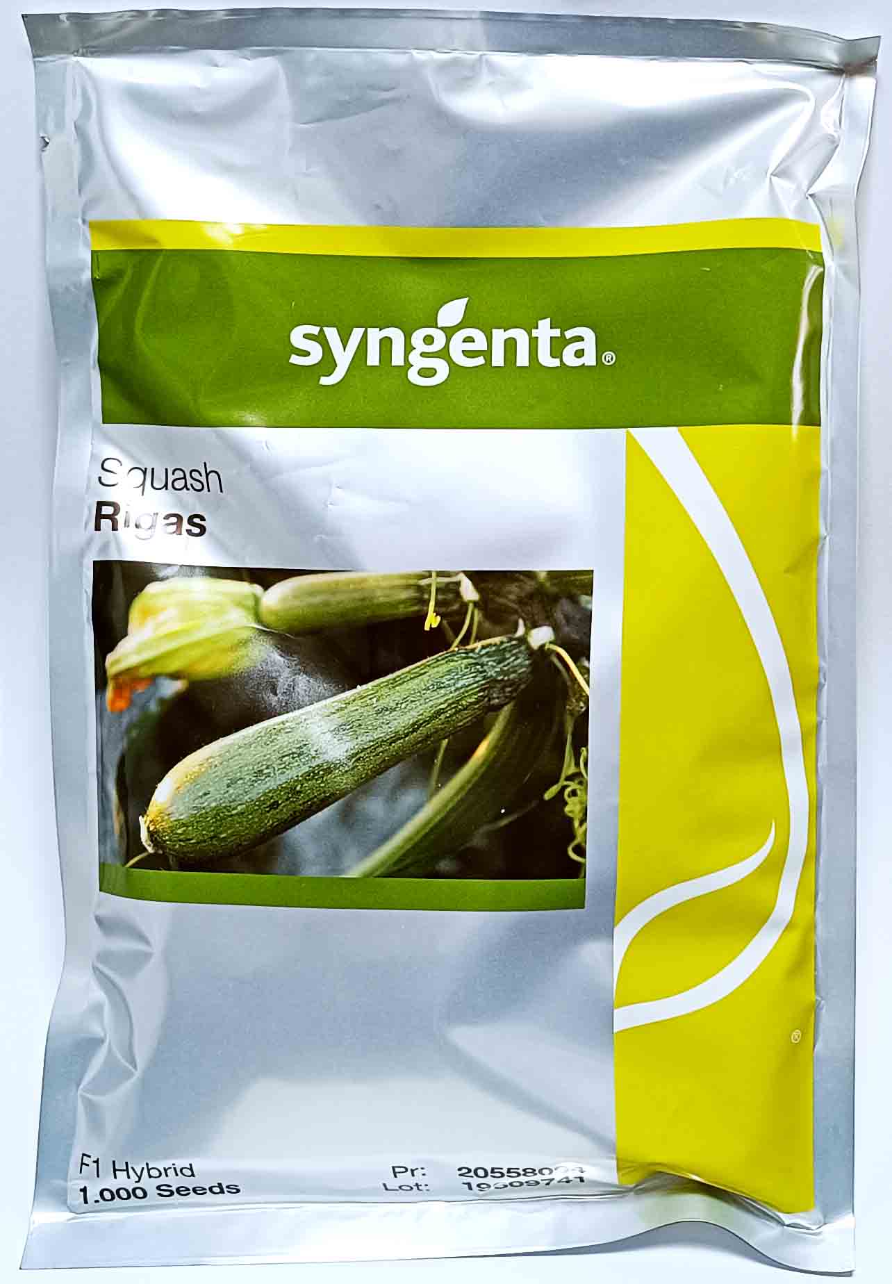 Κολοκύθι υβρίδιο Rigas F1 (φάκελος 1000 σπόρων) Κολοκύθι υβρίδιο πράσινο Rigas F1 (φάκελος 1000 σπόρων)