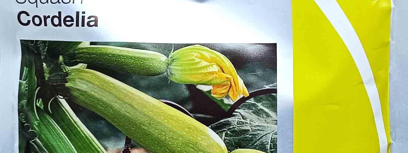 Κολοκύθι υβρίδιο ανοιχτόχρωμο Cordelia F1 (φάκελος 1000 σπόρων)