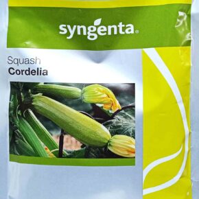 Κολοκύθι υβρίδιο ανοιχτόχρωμο Cordelia F1 (φάκελος 1000 σπόρων)
