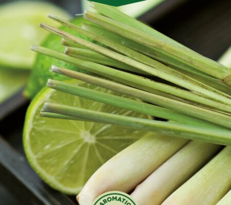 Λέμονγκρας λεμονόχορτο Lemon grass παραδοσιακό (hobby bag 0,2 γρ) Λέμονγκρας λεμονόχορτο Lemon grass παραδοσιακό (hobby bag 0,2 γρ)