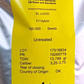 Σπανάκι υβρίδιο El Lucio F1 Syngenta (φάκελος 100000 σπόρων)
