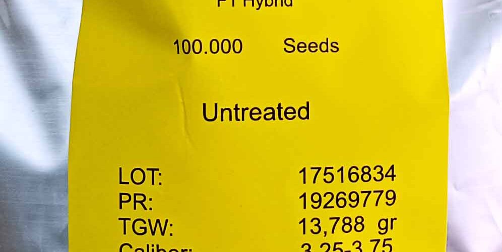 Σπανάκι υβρίδιο El Lucio F1 Syngenta (φάκελος 100000 σπόρων)