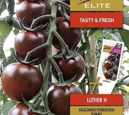 Τομάτα cherry αναρριχώμενη μαύρη Luther υβρίδιο (hobby bag 10 σπόρων) Τομάτα cherry αναρριχώμενη μαύρη Luther υβρίδιο (hobby bag 10 σπόρων)