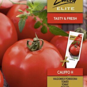 Τομάτα αναρριχώμενη Califfo υβρίδιο (hobby bag 10 σπόρων)