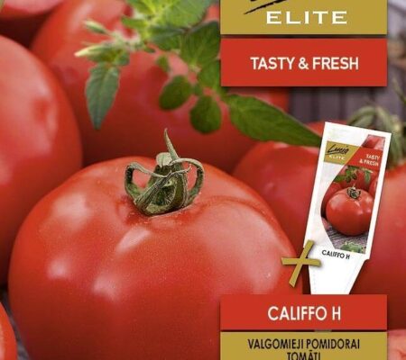 Τομάτα αναρριχώμενη Califfo υβρίδιο (hobby bag 10 σπόρων) Τομάτα αναρριχώμενη Califfo υβρίδιο (hobby bag 10 σπόρων)