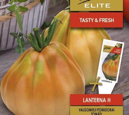 Τομάτα αναρριχώμενη Lanterna υβρίδιο (hobby bag 10 σπόρων) Τομάτα αναρριχώμενη Lanterna υβρίδιο (hobby bag 10 σπόρων)