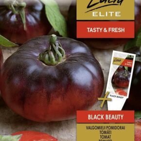 Τομάτα αναρριχώμενη μαύρη Black beauty παραδοσιακή (hobby bag 0,1 γρ)