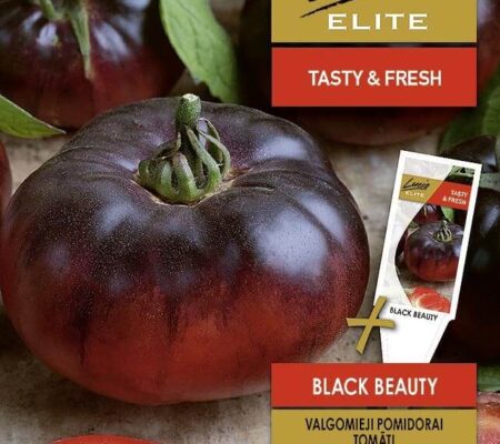 Τομάτα αναρριχώμενη μαύρη Black beauty παραδοσιακή (hobby bag 0,1 γρ) Τομάτα αναρριχώμενη μαύρη Black beauty παραδοσιακή (hobby bag 0,1 γρ)