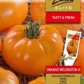 Τομάτα αναρριχώμενη πορτοκαλί Orange Wellington υβρίδιο (hobby bag 15 σπόρων)