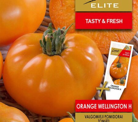 Τομάτα αναρριχώμενη πορτοκαλί Orange Wellington υβρίδιο (hobby bag 15 σπόρων) Τομάτα αναρριχώμενη πορτοκαλί Orange Wellington υβρίδιο (hobby bag 15 σπόρων)