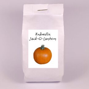 Κολοκύθα Χαλοουίν Jack O' Lantern παραδοσιακή (φάκελος 5 γρ)