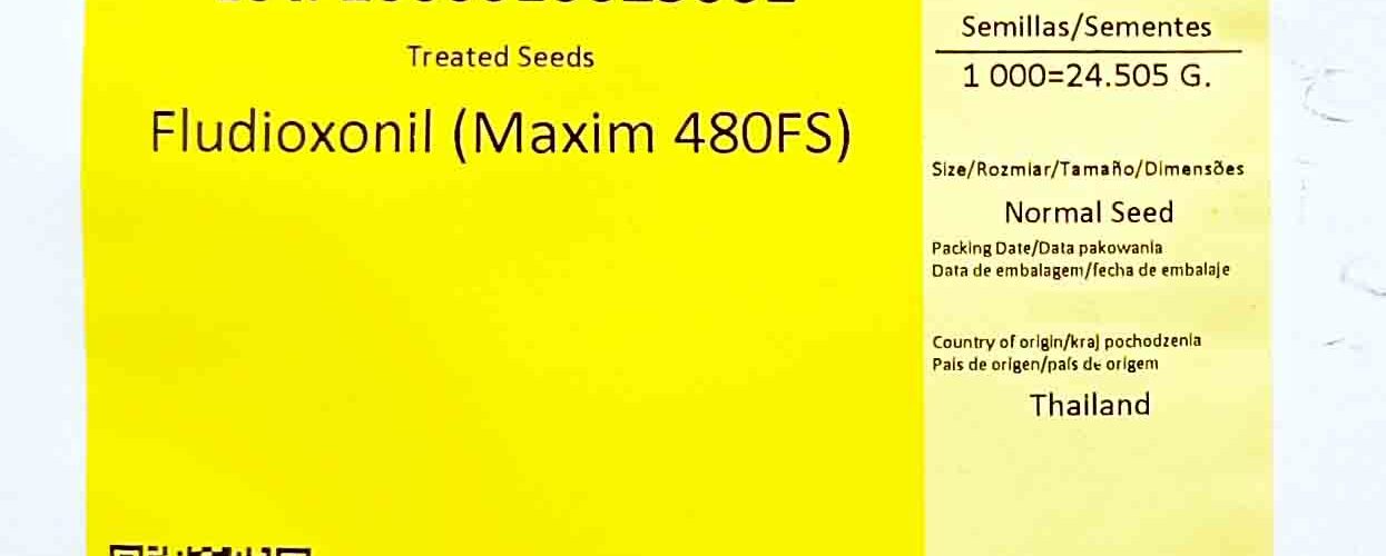 Πεπόνι υβρίδιο Klimt F1 Takii (φάκελος 500 σπόρων)