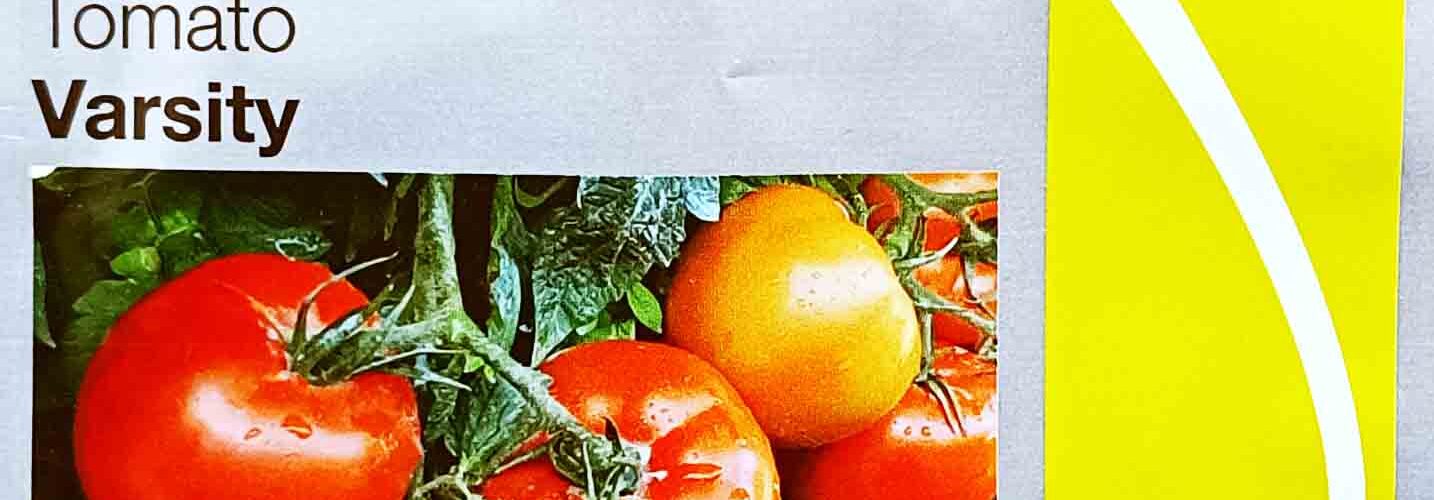 Τομάτα υβρίδιο χαμηλή Varsity F1 (φάκελος 1000 σπόρων)