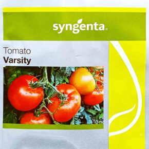 Τομάτα υβρίδιο χαμηλή Varsity F1 (φάκελος 1000 σπόρων)