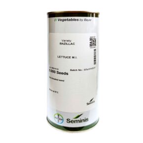 Μαρούλι κατσαρό πράσινο Bazillac (κουτί 5000 pills)